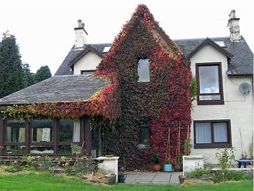 Achnabobane Farmhouse Spean Bridge Buitenkant foto